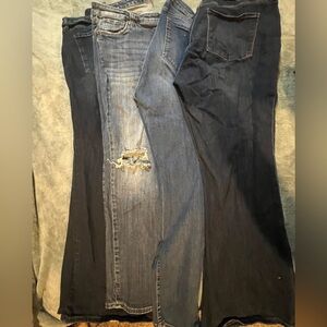 Kut from the Kloth Plus Size Lot